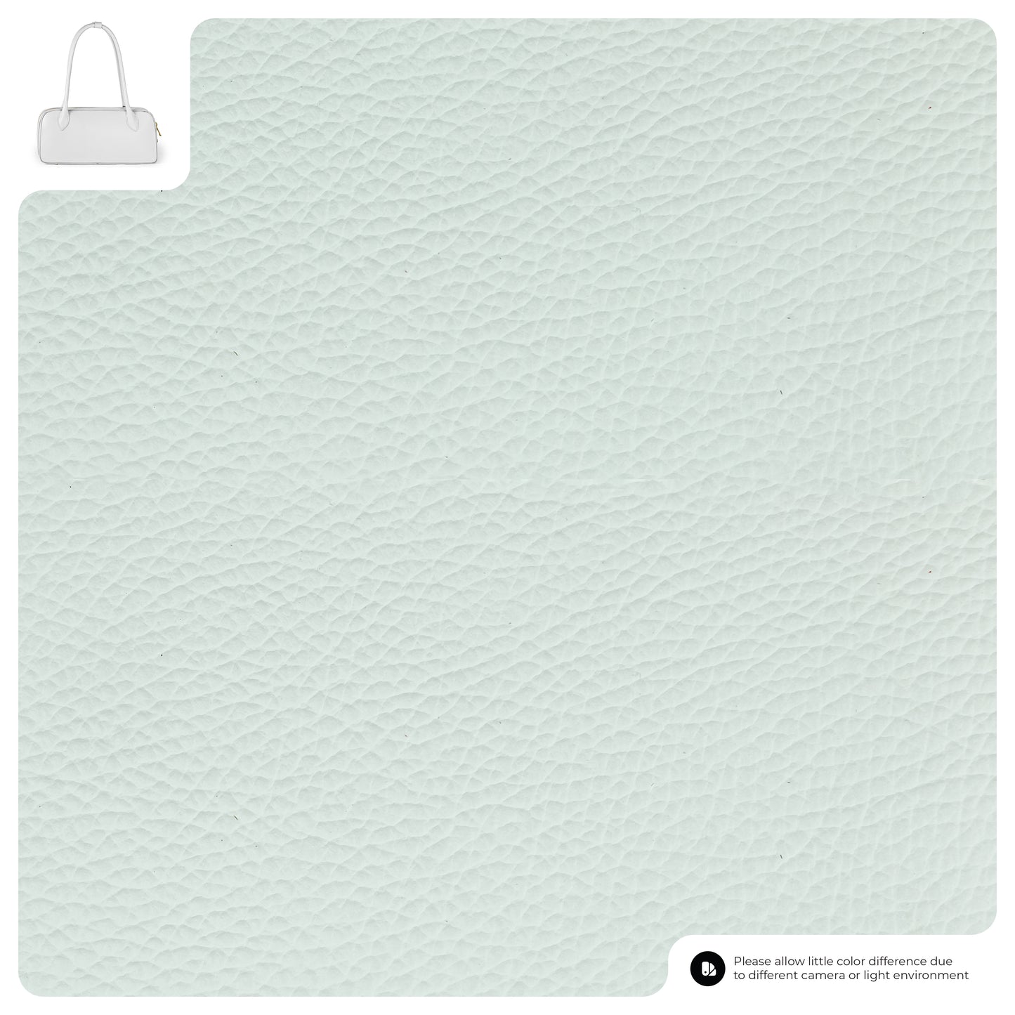 Close-up of light mint green textured calf leather bag with a small handbag illustration in the top left corner and a note in the bottom right about possible color differences due to lighting or photography.
