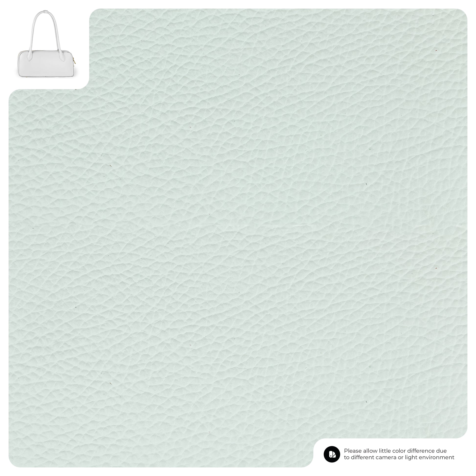 Close-up of light mint green textured calf leather bag with a small handbag illustration in the top left corner and a note in the bottom right about possible color differences due to lighting or photography.