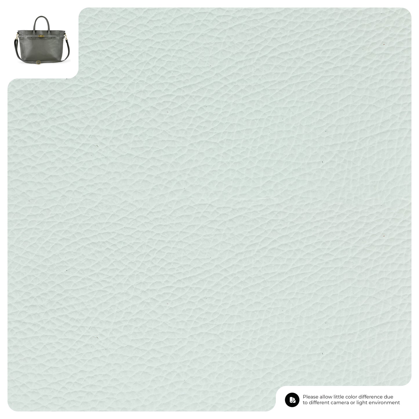 Light gray pebbled calf leather surface sample with a small luxury handbag image in the top left corner and a disclaimer about color differences in the bottom right corner.
