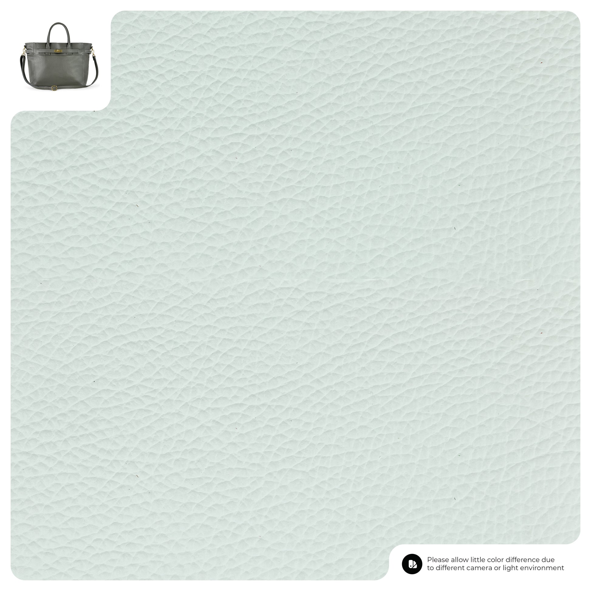 Light gray pebbled calf leather surface sample with a small luxury handbag image in the top left corner and a disclaimer about color differences in the bottom right corner.
